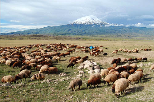 Mount Ararat in Eastern Turkey. Photo by Ferrell Jenkins