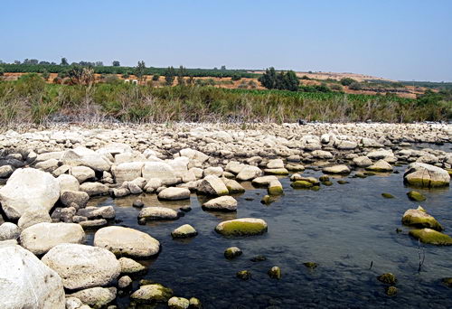 The "Cover of the Sower" in Galilee. Photo by Ferrell Jenkins.