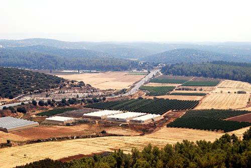 The Valley of Elah from Azekah. Photo by Ferrell Jenkins.