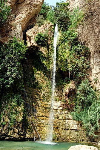 David's Waterfall at En Gedi. Photo by Ferrell Jenkins.