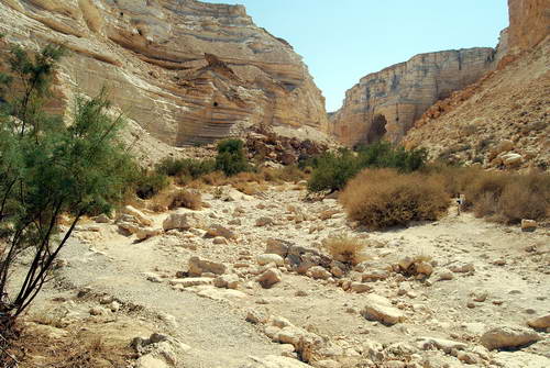 Wadi Zin. Photo by Ferrell Jenkins.