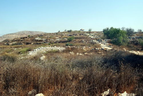 Tel Shilo. Photo by Ferrell Jenkins.
