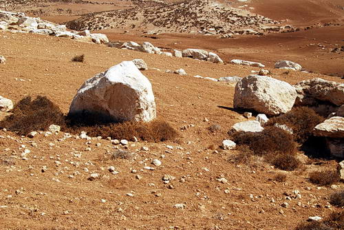 A field showing good soil, rocks, and weeds. Photo by Ferrell Jenkins.