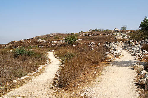 Two paths at Shiloh. Photo by Ferrell Jenkins.