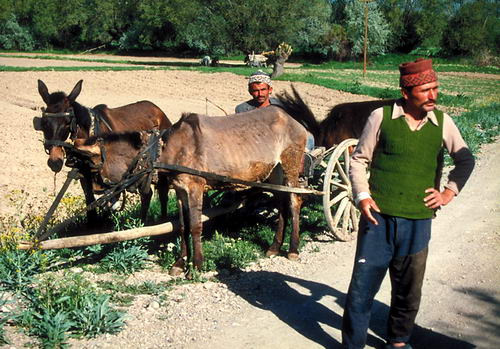 The farmer said, "Ask in the next village." Photo by Ferrell Jenkins.