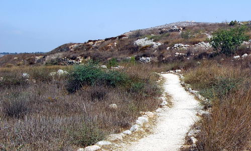 A path at Shiloh. Photo by Ferrell Jenkins.