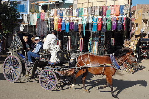 Shops at Edfu in Upper Egypt. Photo by Ferrell Jenkins.