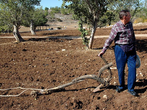 Illustrating a parable at Neot Kedumim in Israel. Photo by Leon Mauldin.