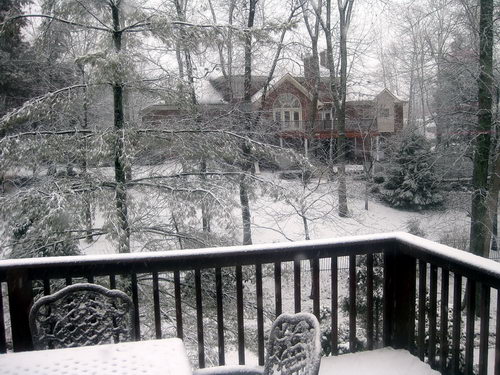 Snow in Louisville. Photo by Ferrell Jenkins.