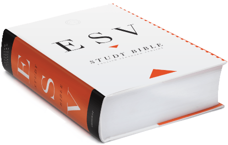 ESV Study Bible