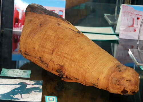 Mummfied Ibis from Egypt. Photo by Ferrell Jenkins.