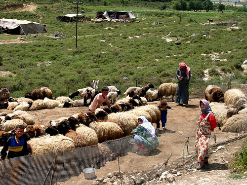 Shepherd settlement in northeastern Syria. Photo by Ferrell Jenkins.