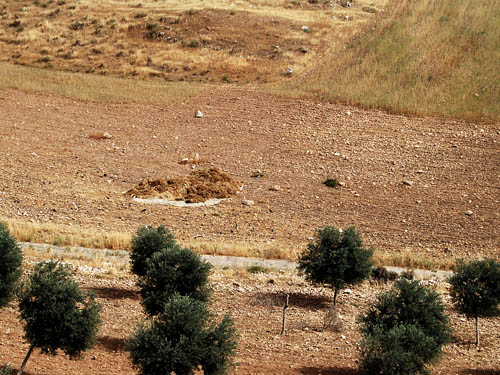 Harvested grain in a field already plowed for sowing. Photo by Ferrell Jenkins.