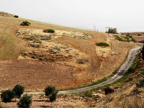 The field has been plowed while grain grows nearby. Photo by F. Jenkins.