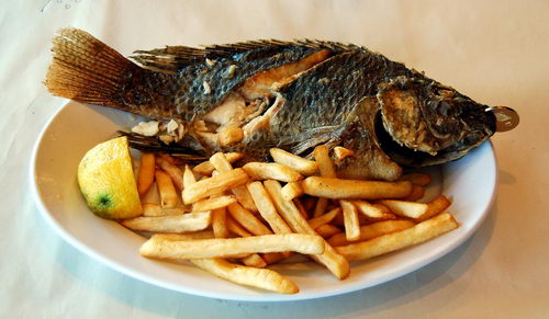 A fish from the Sea of Galilee with a coin in its mouth. Photo by F.Jenkins.