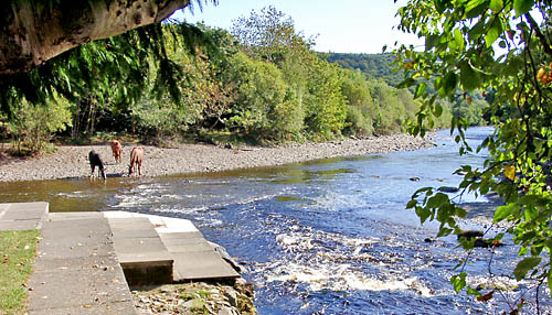 Where the Sweet Waters Meet. Photo by Ferrell Jenkins.