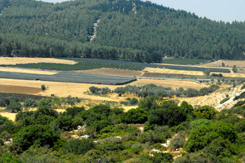 Elah Valley from Khirbet Qeiyafa. Photo by Luke Chandler.
