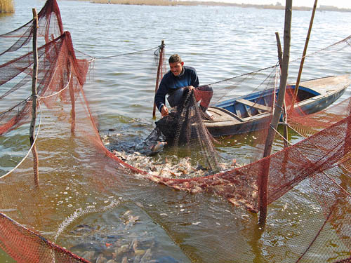 Fisherman Near Alexandria, Egypt. Photo by Ferrell Jenkins.