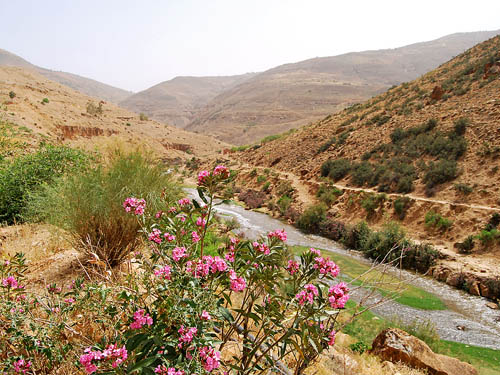 The Jabbok (Zerqa) River near the Jordan Valley. Photo by Ferrell Jenkins.