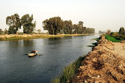 A canal where the Pelusiac branch of the Nile once flowed. Photo by F. Jenkins.