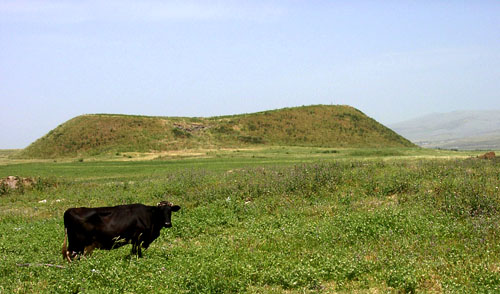 Qarqar on the Orontes. Photo by Ferrell Jenkins.