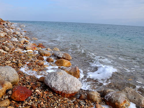 Along the shore of the Dead Sea. Photo by Ferrell Jenkins 2009.