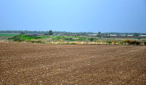 The Acropolis of Ekron. Photo by Ferrell Jenkins 2009.