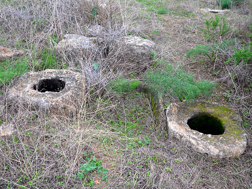 Olive press installation at Ekron. Photo by Ferrell Jenkins 2009.