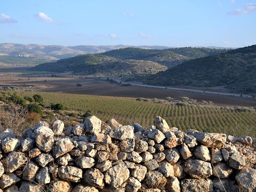 Valley of Elah - Khirbet Qeiyafa to Socoh A view from Khirbet Qeifaya across the Valley of Elah to Socoh. Photo by Ferrell Jenkins.