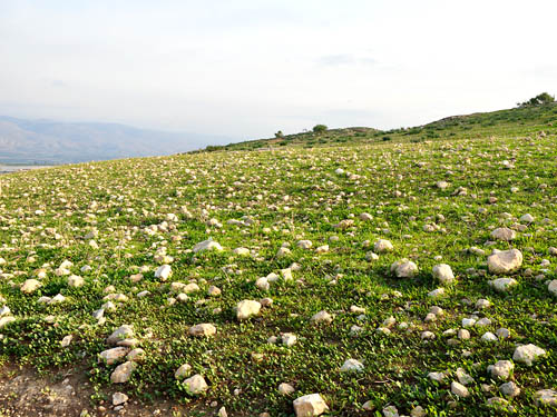 Rocks in the Jordan Valley at Meholah. Photo by Ferrell Jenkins.