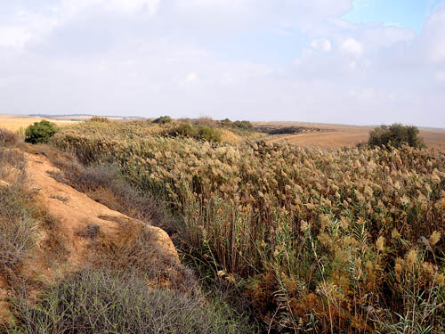 Wadi Gerar near Ziklag. Photo by Ferrell Jenkins 2009.