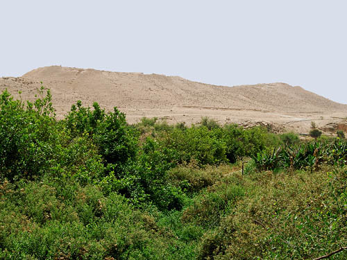 Tall el-Hammam in the Jordan Valley. Photo by Ferrell Jenkins 2008.