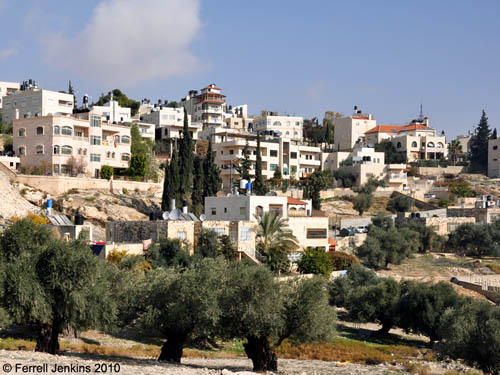 Eastern slope of Mount of Olives near Bethany. Photo by Ferrell Jenkins.