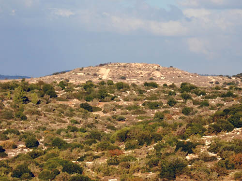 Jarmuth from Khirbet Qeiyafa. Photo by Ferrell Jenkins.