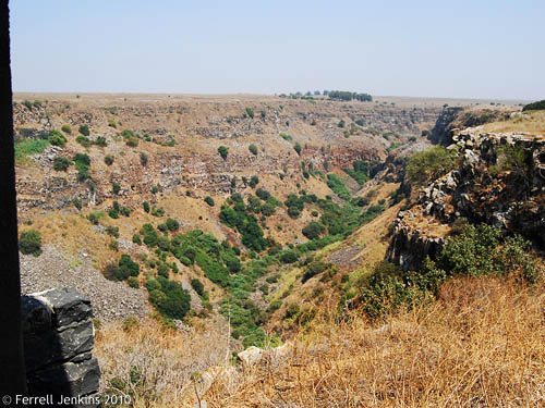 Gamla Nature Reserve. Photo by Ferrell Jenkins, Aug. 30, 2008.