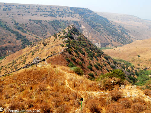 Gamla. Photo by Ferrell Jenkins.