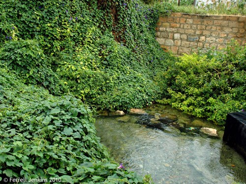 Elisha's Fountain at Jericho. Photo by Ferrell Jenkins.