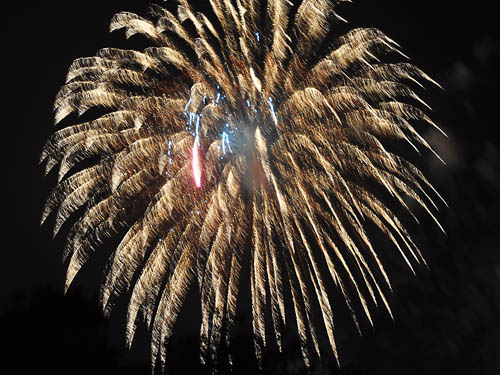 Firewords in Temple Terrace, Florida. Photo by Ferrell Jenkins.