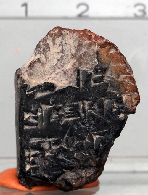 "Jerusalem 1" - the Cuneiform Fragment from the Ophel Excavation.
