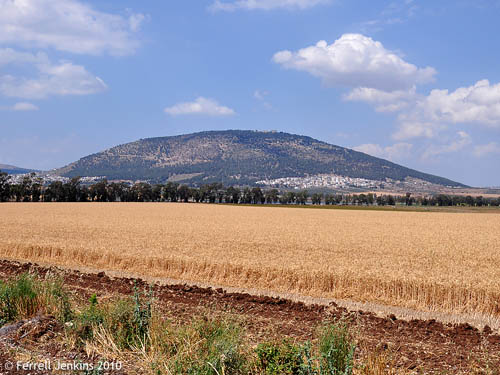 Wheat field below Mount Tabor. Photo by Ferrell Jenkins.