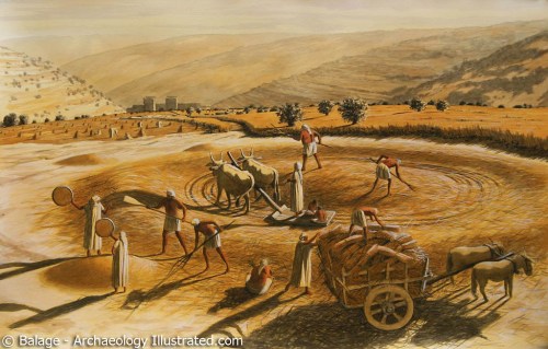 Araunah's Threshing Floor. Art by Balage, Archaeology Illustrated.