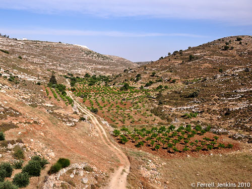 The Valley of Beracah near Tekoah. Photo by Ferrell Jenkins.