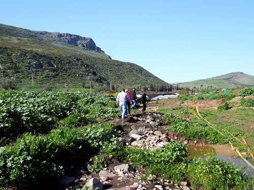Magdala with Mount Arbel to the West. Photo by Jim Joyner.