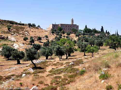 Scattered olive grove on a hill below Mar Elias Monastery. Photo by Ferrell Jenkins.