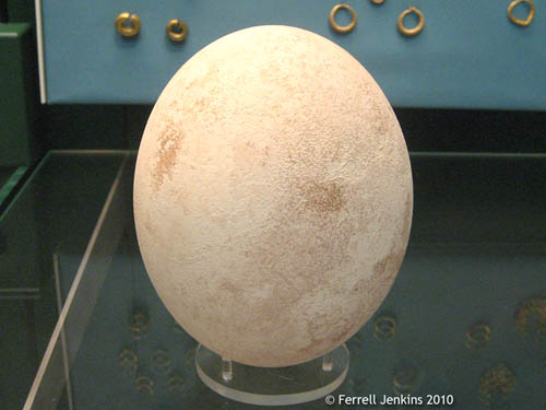 Ostrich Egg discovered at MB II Lachish. British Museum. Photo by Ferrell Jenkins.