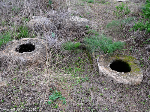 Ekron Crushing basin with a pressing vat on either side. Photo by Ferrell Jenkins.