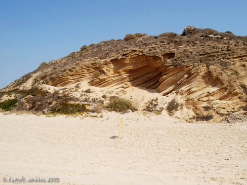Erosion visible in Tel Ashkelon. Photo by Ferrell Jenkins.