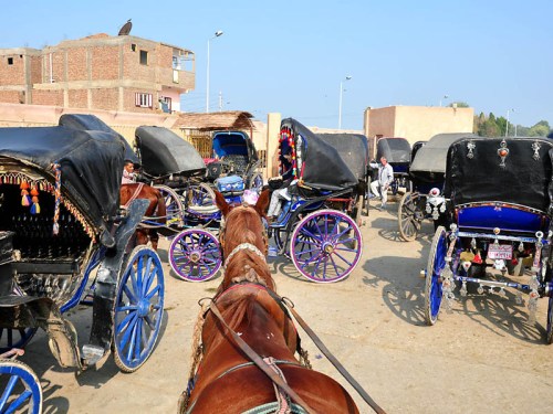 Horses and carriages at Edfu. Photo by Ferrell Jenkins.