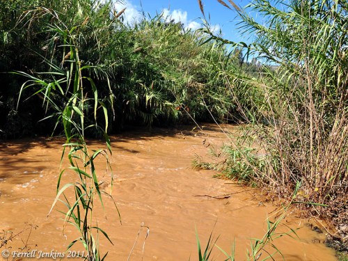 Jordan River at Jordan River Park, N of Sea of Galilee