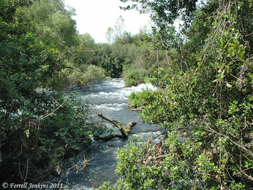 Nahal Dan in the Tel Dan Nature Reserve. Photo by Ferrell Jenkins.